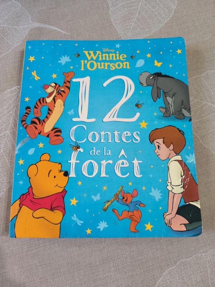 Livre Disney Winnie l'ourson 12 contes de la forêt - photo numéro 1