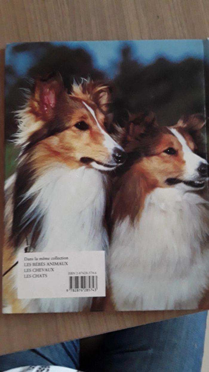 Les chiens livre - photo numéro 2