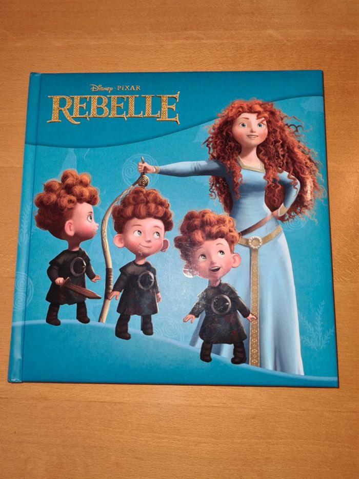 Livre Rebelle de Disney Pixar en TBE Édition Hachette - photo numéro 1