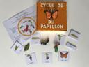 Cycle de vie du papillon