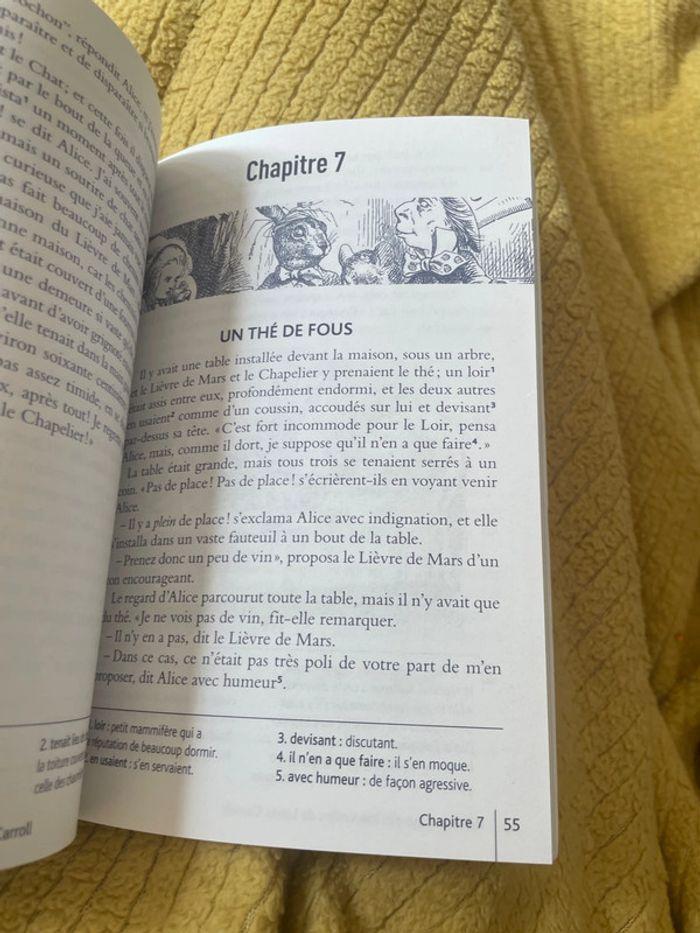 Livre Alice aux pays des merveilles - photo numéro 3