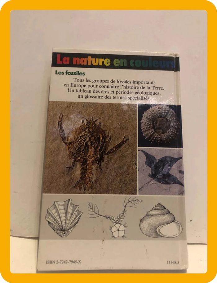 Livre la nature en couleurs les fossiles - photo numéro 4