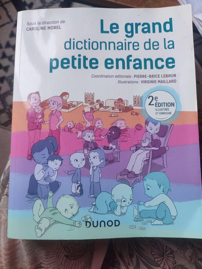 Livre le grand dictionnaire de la petite enfance