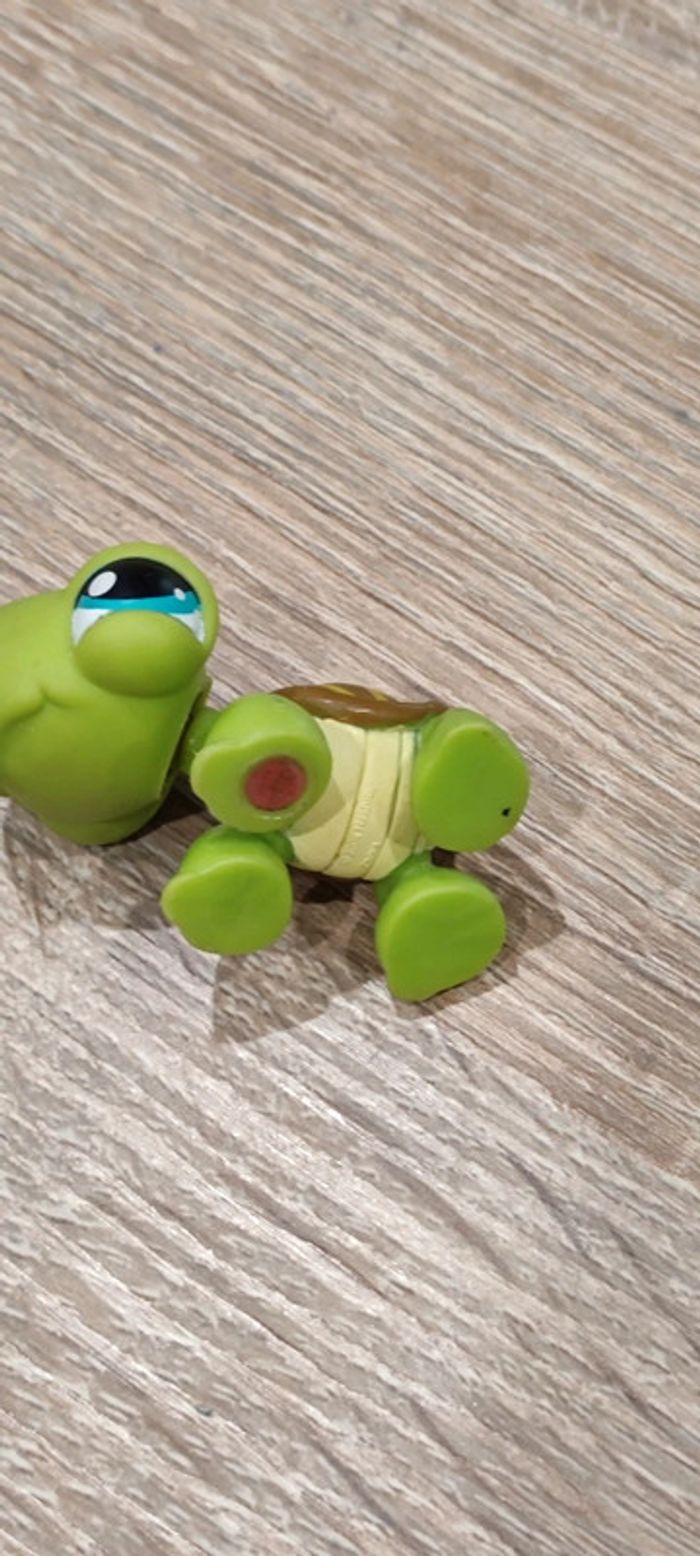 Tortue Littlest Pet Shop - photo numéro 5