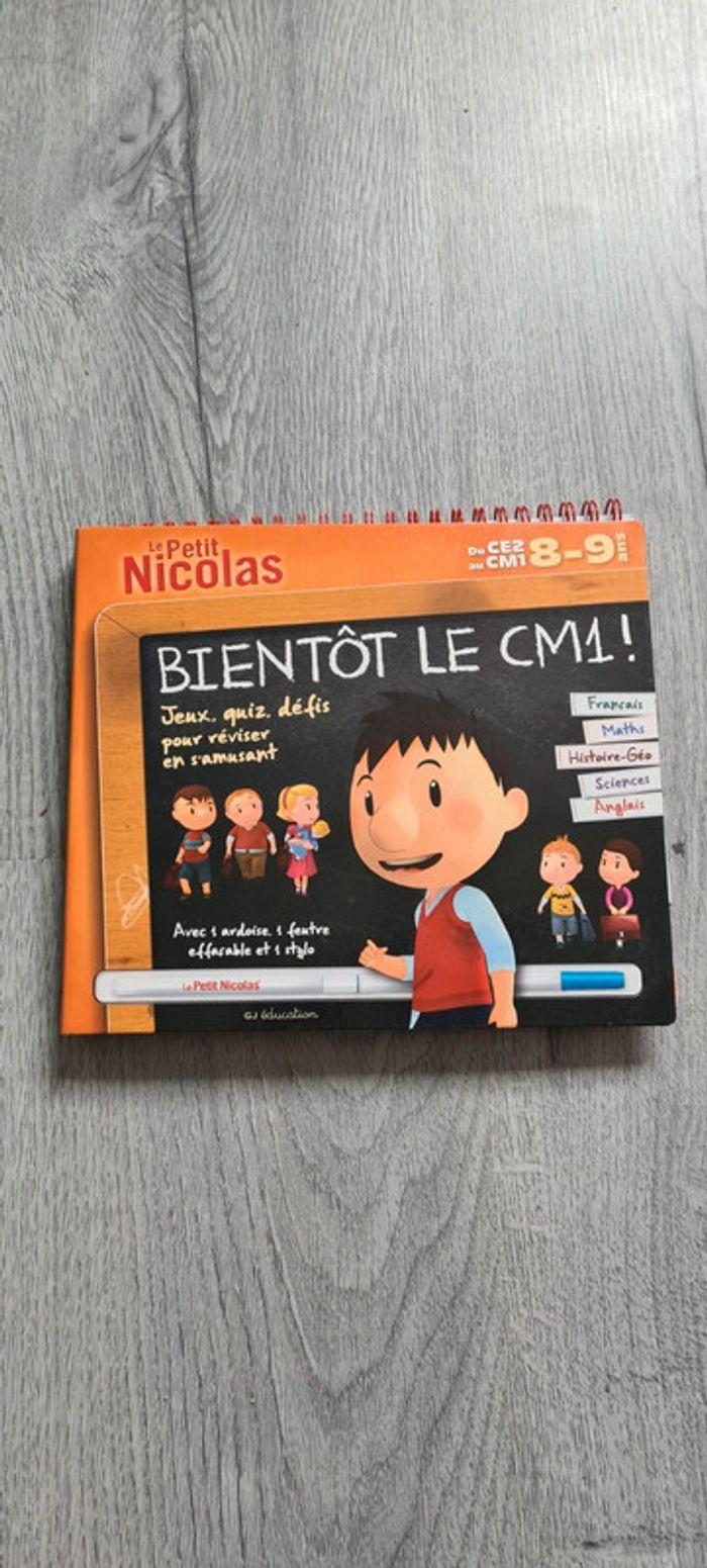 Cahier d'activités Le petit Nicolas CE2 - CM1 - photo numéro 1