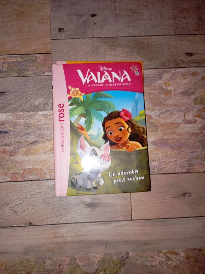 Lot de livres bibliothèque rose vaiana - photo numéro 2