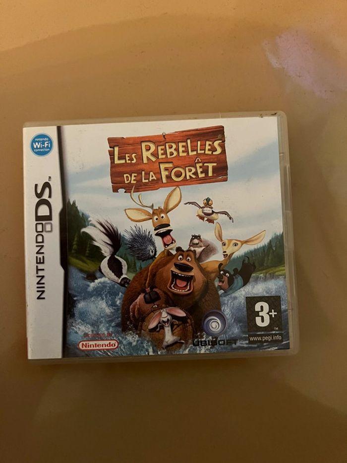 Jeu DS Les rebelles de la forêt - photo numéro 1