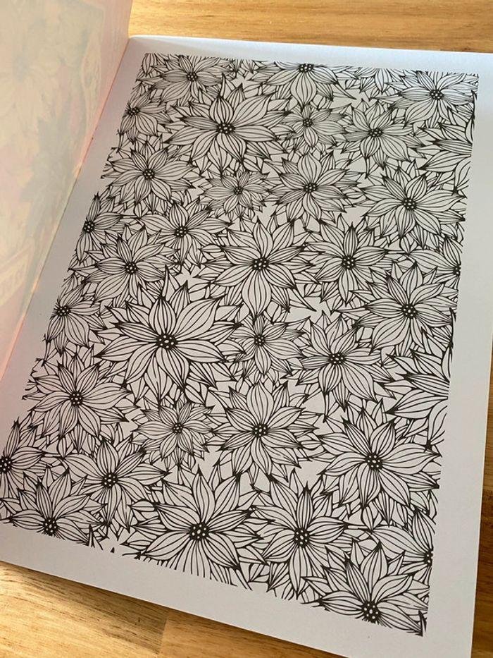 Magazine de coloriage pour adultes neuf - photo numéro 3