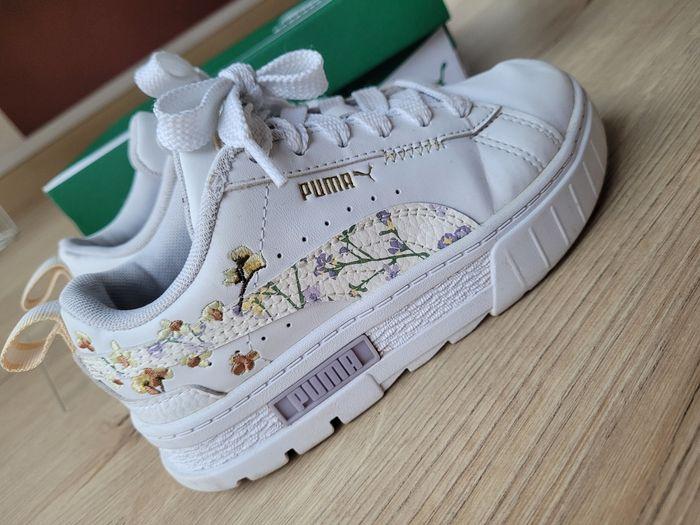 Puma fleuris - photo numéro 2