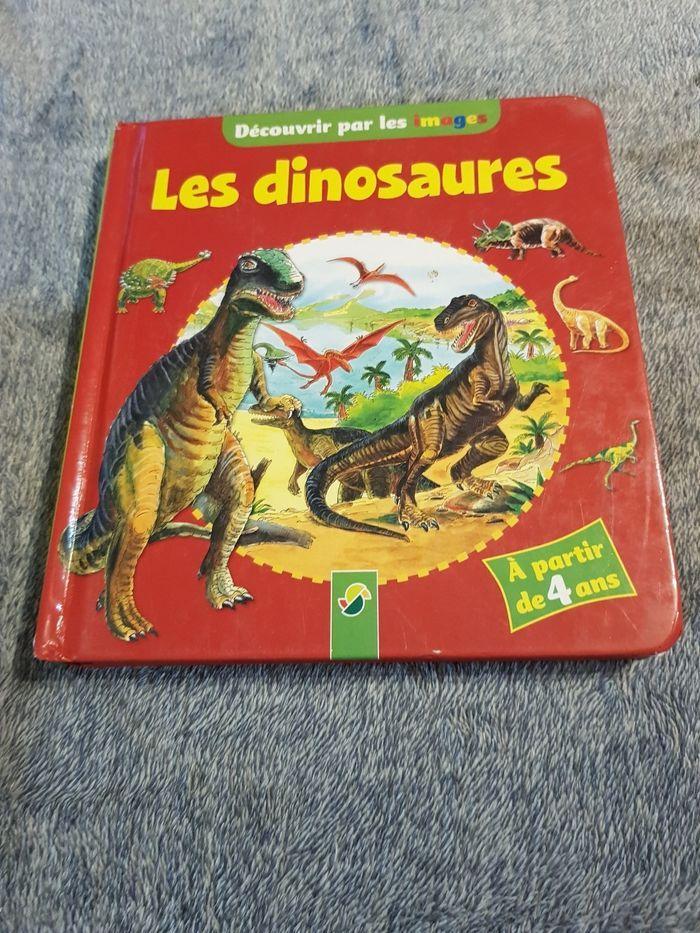 Lot de 5 livre dinosaure - photo numéro 5