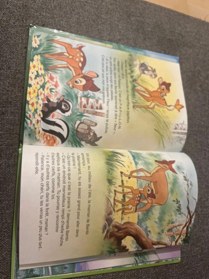 Livre Disney bambi - photo numéro 3