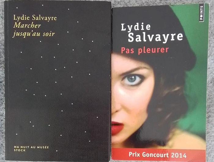 Livres de Lydie Salvayre - photo numéro 1