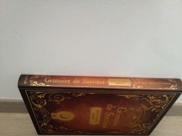 Gros livre grimoire de sorcière - photo numéro 2