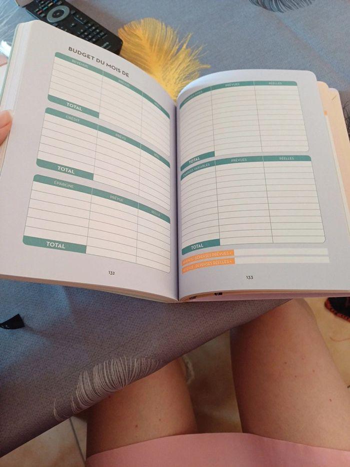 Mon planner budget - photo numéro 4