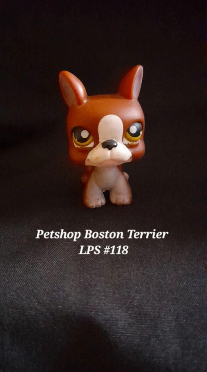 Little Petshop Boston Terrier LPS #118 Hasbro