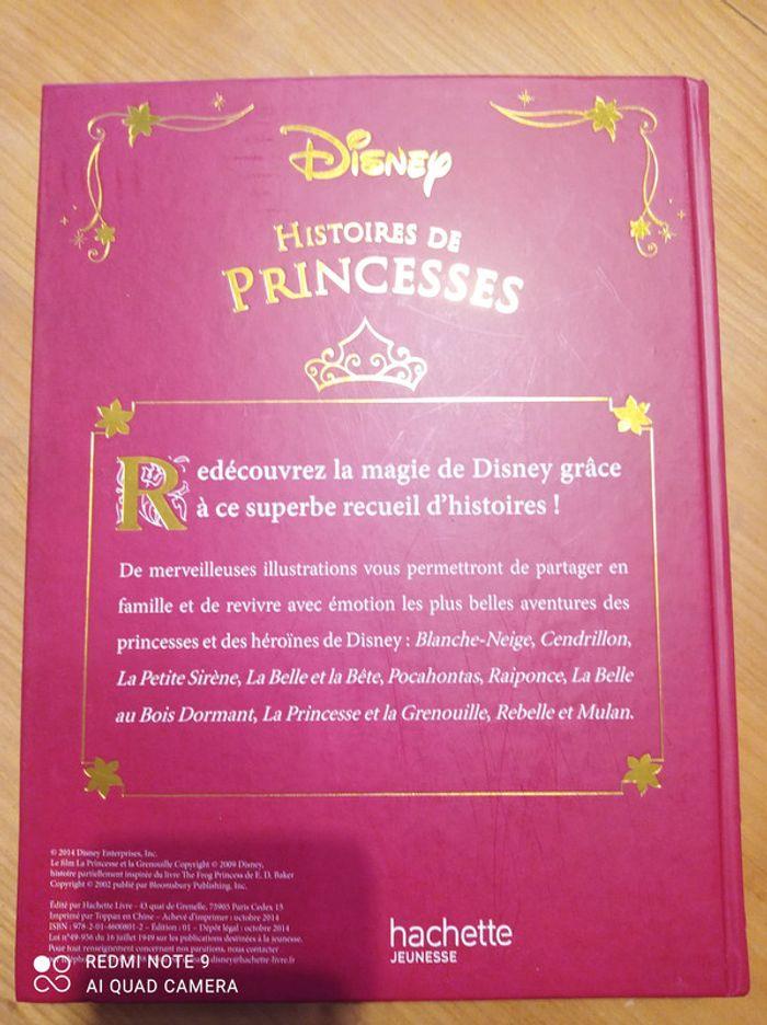 Livre princesses disney - photo numéro 2