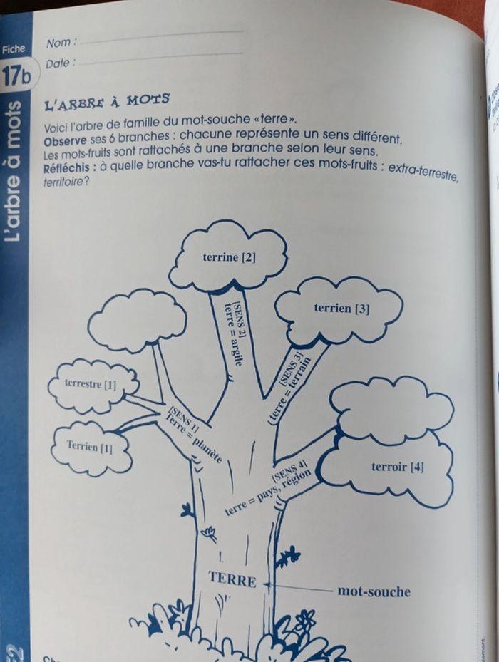 Fichier de vocabulaire CE2 Retz - photo numéro 15