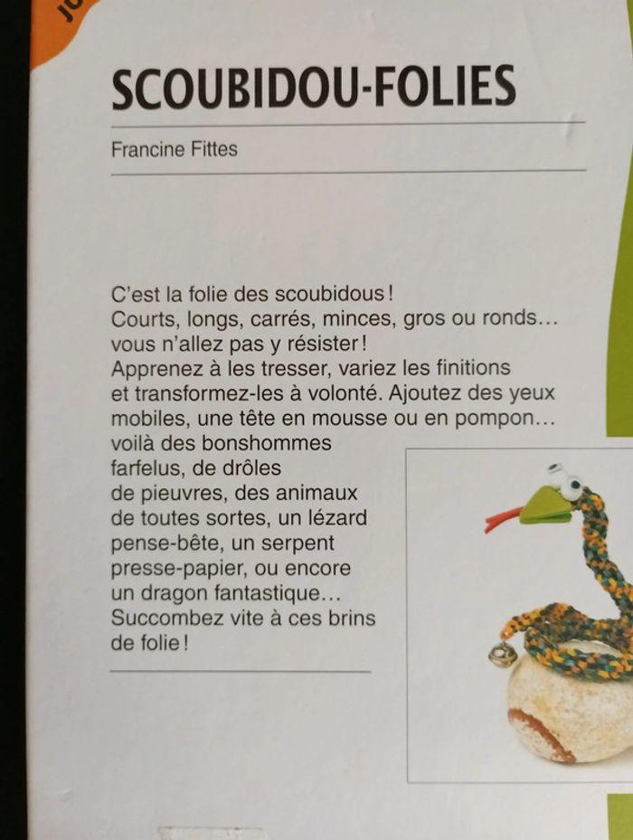 Scoubidous folies édition Fleurus - photo numéro 2