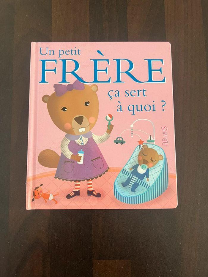 Livre pour enfants un petit frère ça sert à quoi. Parfait état . - photo numéro 1