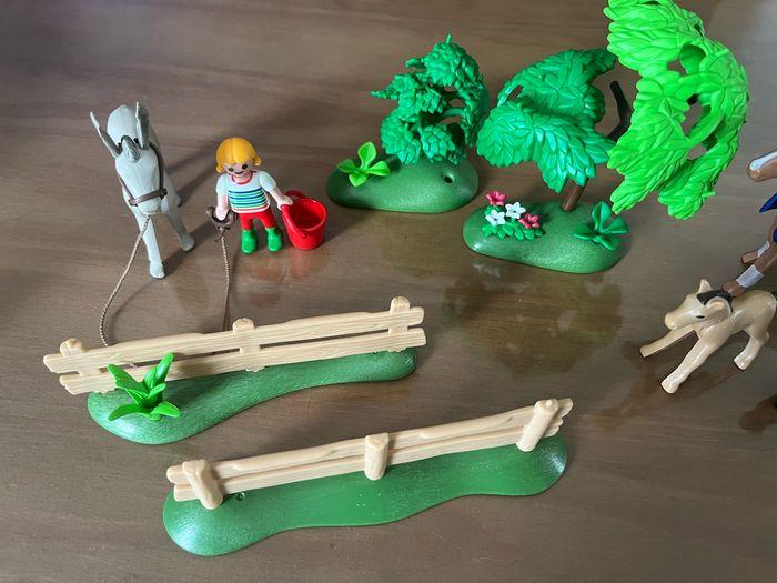 Lot Playmobil équestre - photo numéro 7