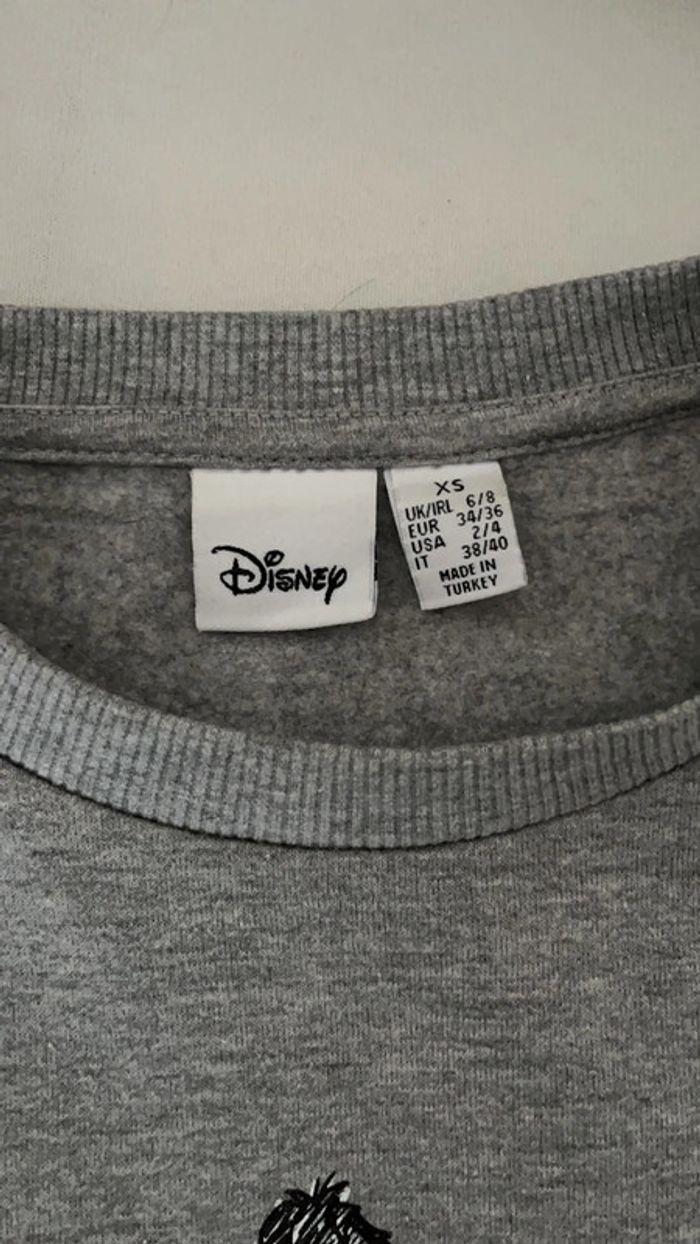 Sweat Disney Bourriquet - photo numéro 4