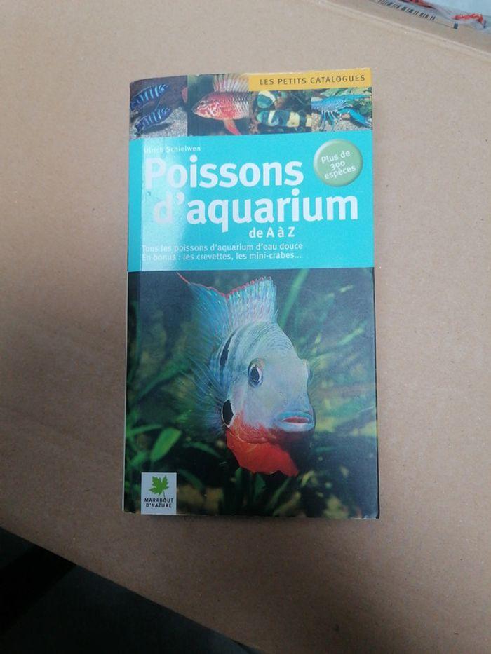 Poisson d aquarium - photo numéro 1