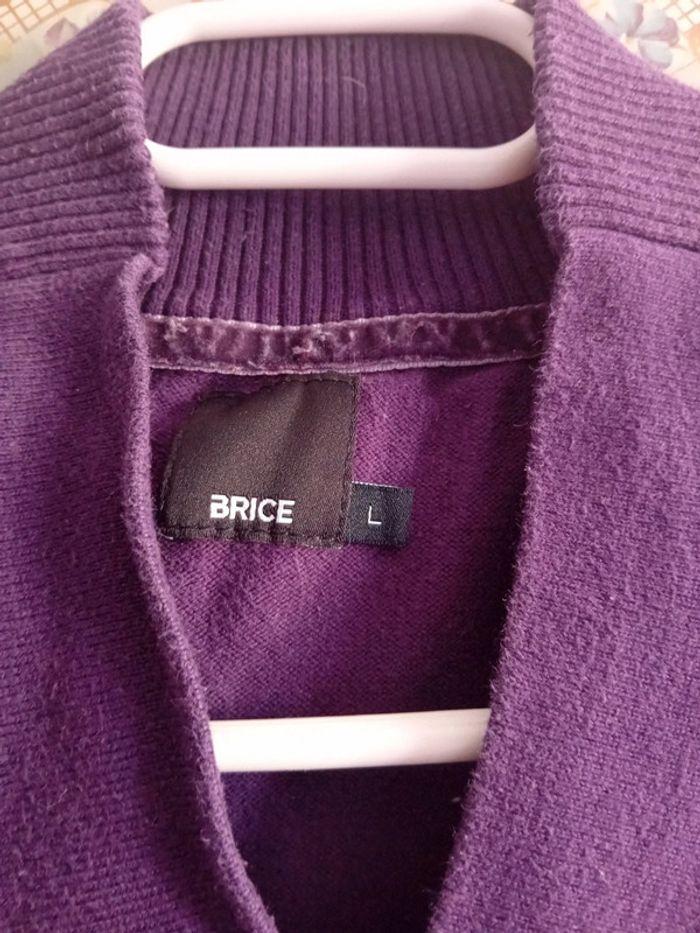 Pull homme 👨 col V violet foncé très peu porté taille L de chez Brice - photo numéro 3