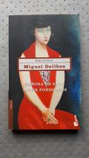 Señora de rojo sobre fondo gris - Miguel Delibes