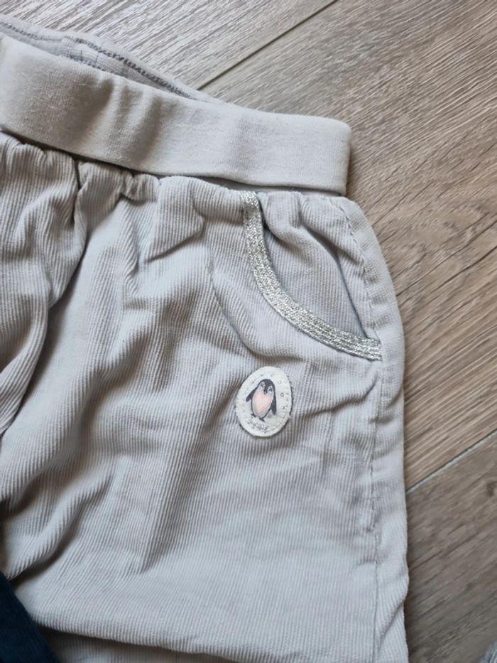 lot Pantalons velours 18m - photo numéro 5