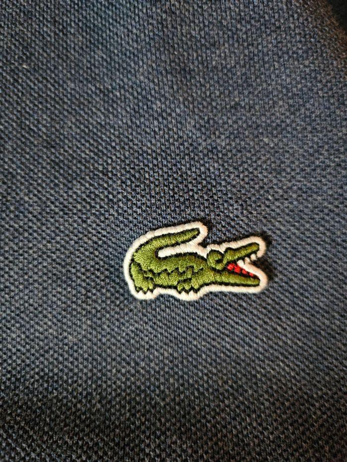 Polo Lacoste - Slim Fit - photo numéro 3