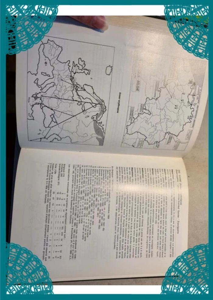 🌺 atlas des oiseaux de Belgique et d'Europe occidentale - photo numéro 3