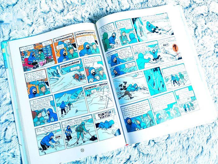 Bande dessinée Tintin au Tibet 🖤 - photo numéro 3