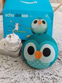 Echo Dot kids