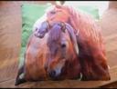 Coussin chevaux