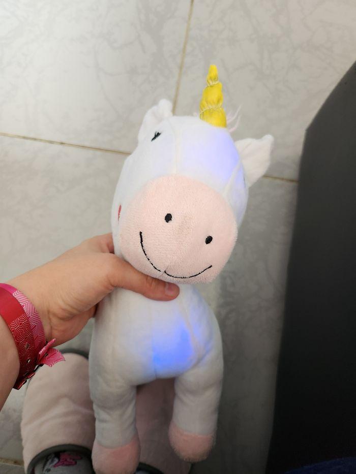 Licorne lumineuse - photo numéro 6