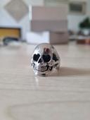 Bague tête de mort argentée et noire