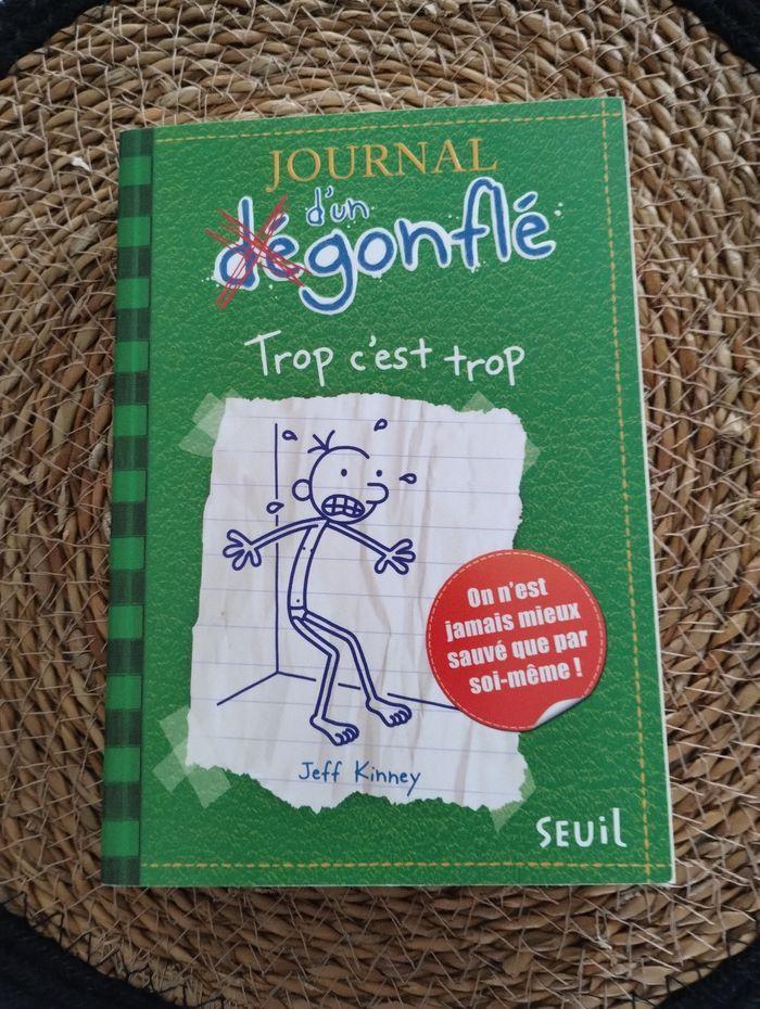 Journal d'un dégonflé 3 - photo numéro 1