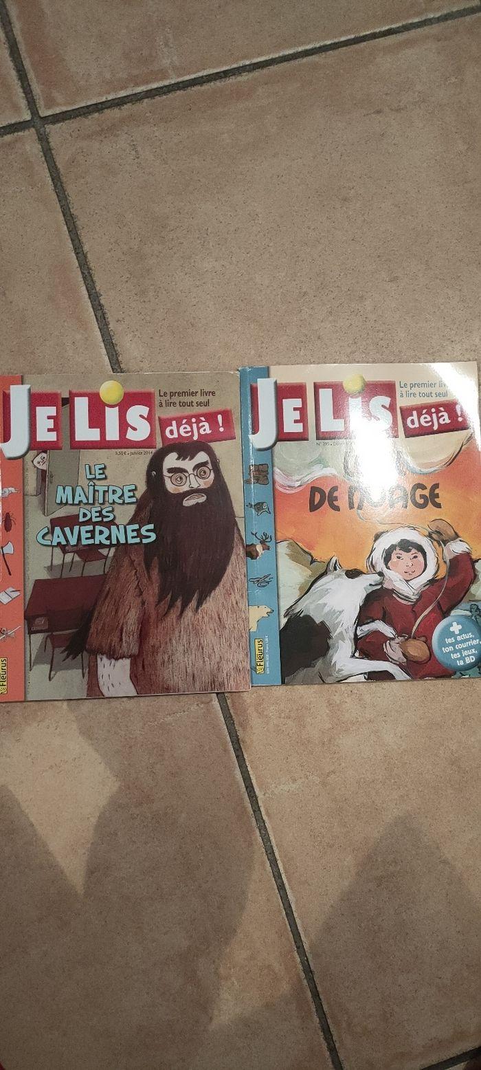 Lot 2 livres "je lis déjà" - photo numéro 1