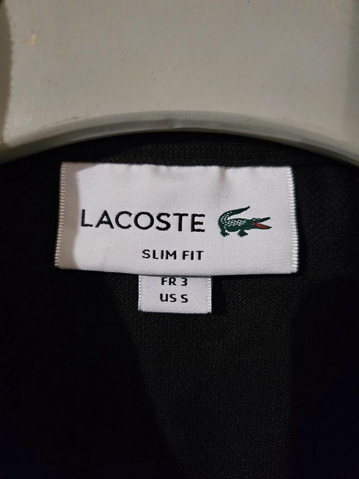 Polo Lacoste - Slim Fit - photo numéro 4