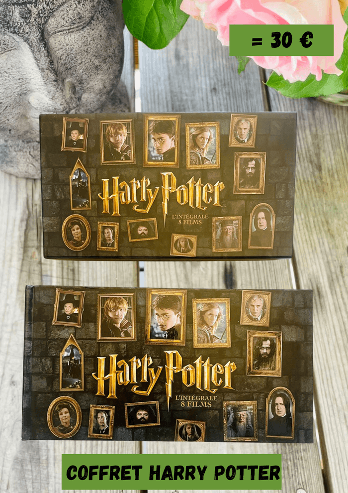 Coffret DVD Harry Potter - photo numéro 1