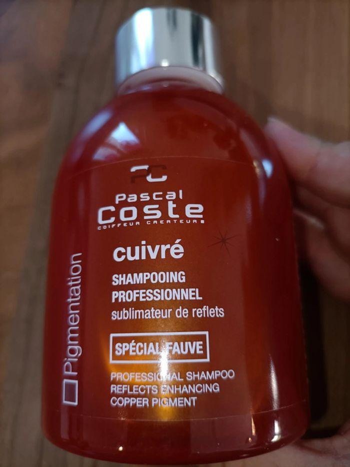 Shampoing colorant sublimateur de reflets cuivré Pascal Coste - photo numéro 5