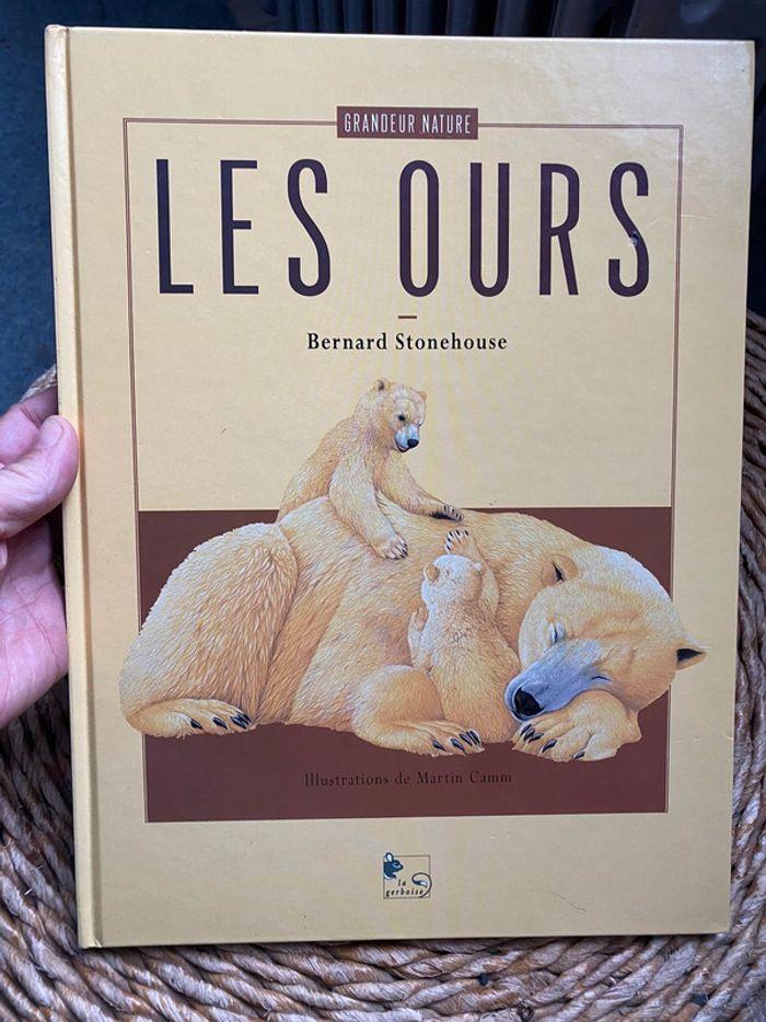 Les ours - photo numéro 1