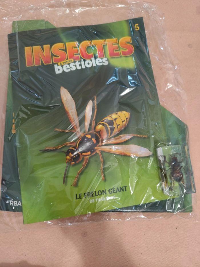 Insectes et autres bestioles n° 1.2.3.4.5.6.7 - photo numéro 5