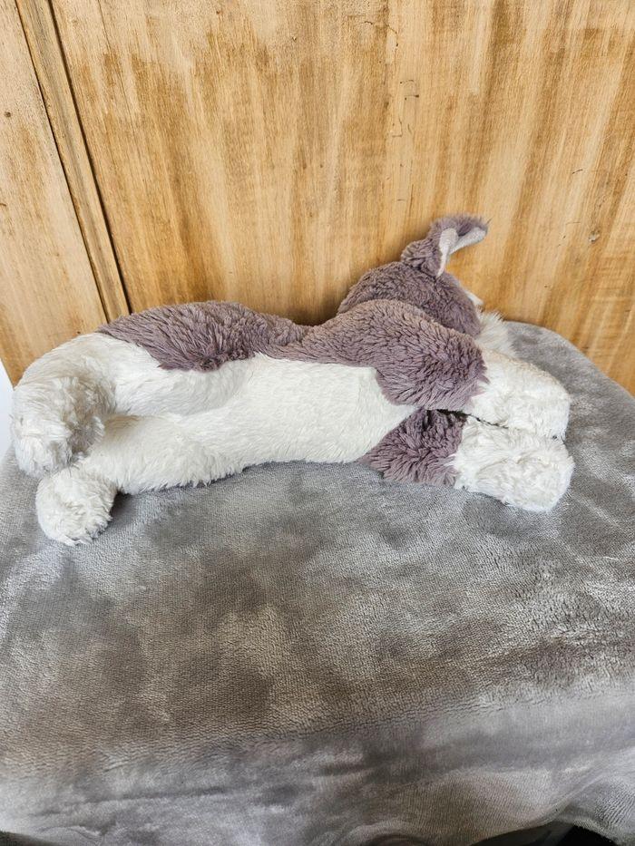 Peluche chien - photo numéro 5