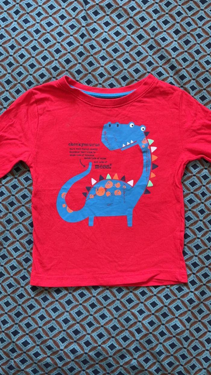 Tee-shirts bébé dinosaures - photo numéro 1