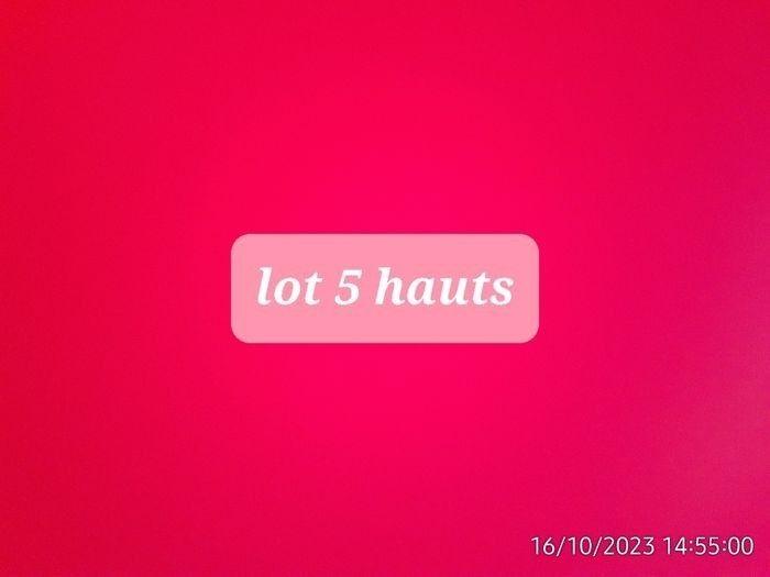 Lot 5 hauts fille