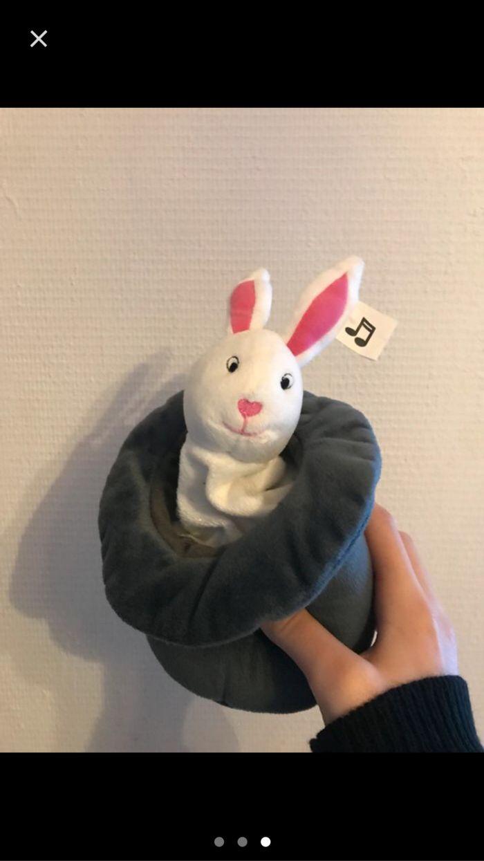 Lapin dans son chapeau de magicien - photo numéro 3