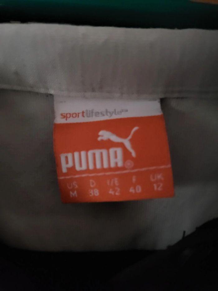 Polo puma - photo numéro 2