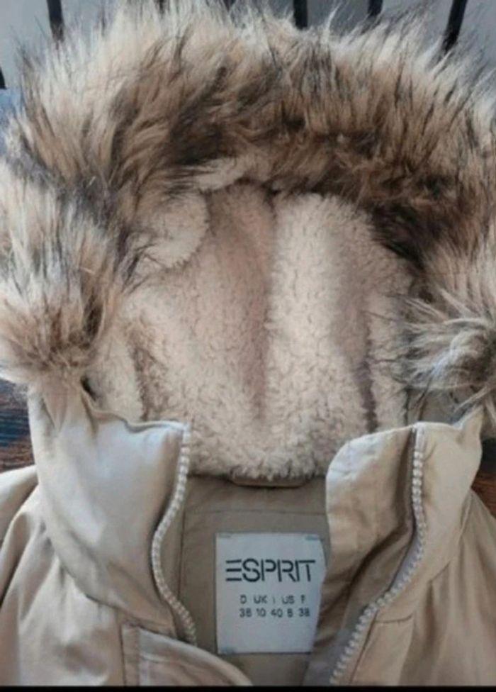 Parka neuve femme T 36/38 Esprit - photo numéro 5