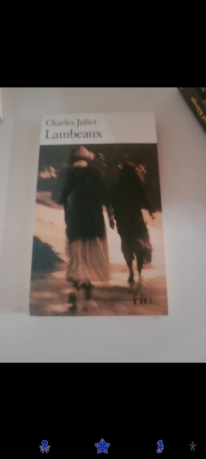 Lambeaux - photo numéro 1